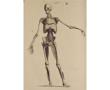 Albinus (Bernhard Siegfried). Tables of the Skeleton and Muscles of the Human Body, 2 volumes in 1, 2nd edition, Edinburgh: B