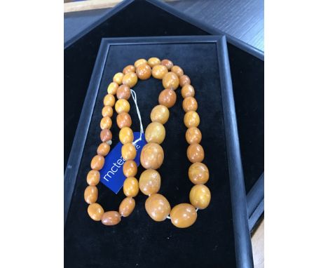 IMPRESSIVE CERTIFICATED BUTTERSCOTCH AMBER NECKLACE formed by ovoid beads, the largest 28mm long, the smallest 18mm long, 140