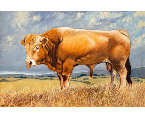 Tony Whieldon (British, 20th Century)
Aquitaine Bull
Oil on canvas
49.5 x 79.5cm
Signed lower left and date 83
