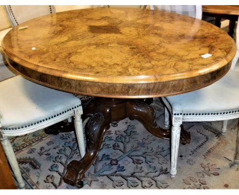 A Victorian burr walnut oval loo table on carved quadruped base together with a set of eight spoon back dining chairs in the 