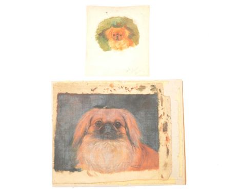 Walter Herbert Wheeler,Pekinese Fou Wen Fou, dog portrait,oil on canvas, signed and titled, unmounted, unframed,29x34cm,Rich 