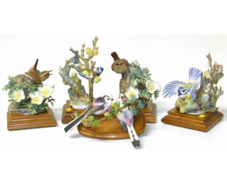 Five Royal Worcester models of birds with wood bases (Bluetit free from damages, the rest with small losses, the wren has a h