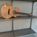 DEAN Guitar (details via photos)