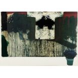 Hermann Nitsch, Schüttbild mit Malhemd (Übermalte Bild-Lithografie)