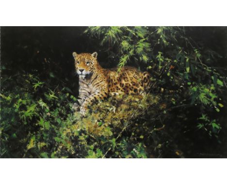David Shepherd Jaguar, signed and numbered, lithograph
