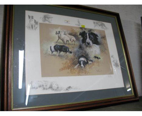 Signed limited edition print of sheepdogs