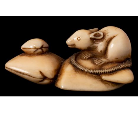 A Japanese carved ivory netsuke: in the form of a rat seated  amongst shells, Meiji period, 5 cm.