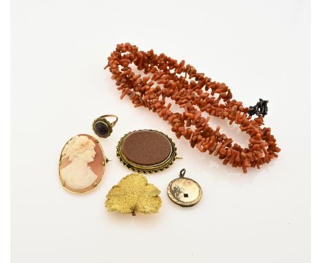 Lot of various jewelery with a gold ring with garnet and a cameo brooch with a gold rim, 585/000, a brooch of a gilded leaf, 