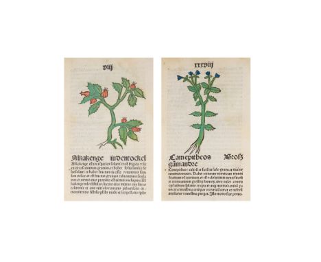 HERBARIUM - INCUNABULAHerbarius latinus (with German synonyms),  172 leaves (of 174, without final 2 leaves), 31-33 lines, go