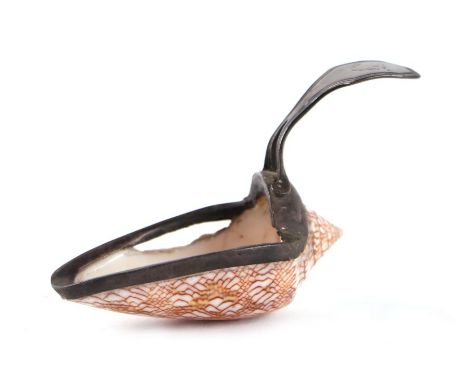 A George III silver mounted cowrie shell caddy spoon, circa 1810, with makers mark for Matthew Linwood, Silversmith from Birm