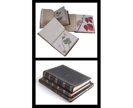 Three Victorian leather bound artist's sketch books, initialled 'JFM', containing over 100 watercolours of botanical subjects