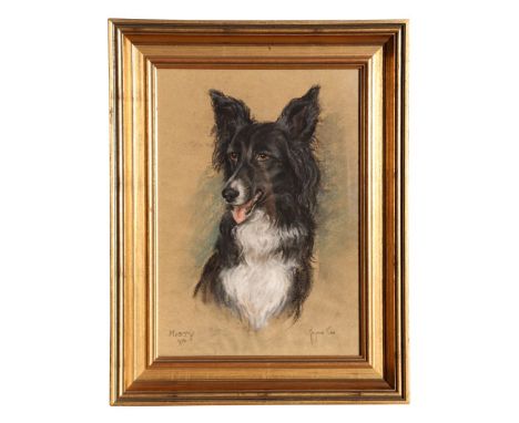 Marjory Cox (modern British) - Portrait of Misty, the Border Collie - pastel, signed &amp; dated 1970 lower left, framed &amp