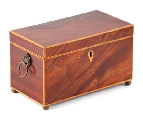 An early 19th century mahogany tea caddy with boxwood stringing, with two compartments, brass lion mask ring handles and ball