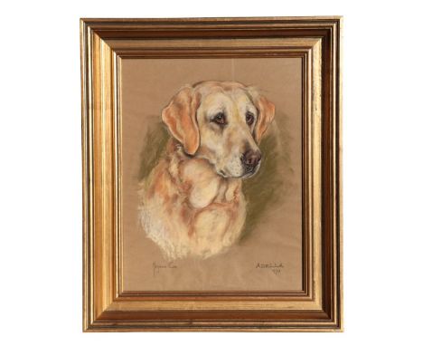Marjory Cox (modern British) - Portrait of Adella, A Golden Retriever - pastel, signed &amp; dated 1970 lower right, framed &