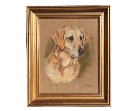 Marjory Cox (modern British) - Portrait of Adella, A Golden Retriever - pastel, signed &amp; dated 1970 lower right, framed &