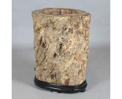 An Asian gnarled hollow tree trunk stand, the edge finely carved with a shaped rim, raised on an ebonized stand, height 66cm,