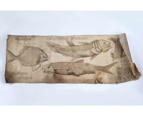 Frank Rutley, Collection of Lecture Posters &amp; Books Rutley, Frank, large collection of original hand-drawn and painted le
