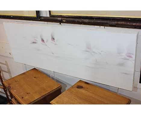 Gilmilo (20th century), flamingos taking flight, print on canvas, 2/30, signed to side, inscribed reverse, 42cm by 119cm