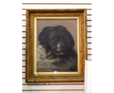 S E Hunt (19th century school) Pair oils on canvas Portrait of dog and donkey, each signed bottom left, 43cm x 34cm 