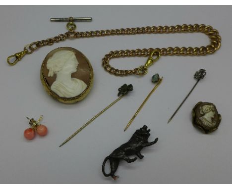 An Albert chain, a cameo brooch, a clover stick pin, etc.