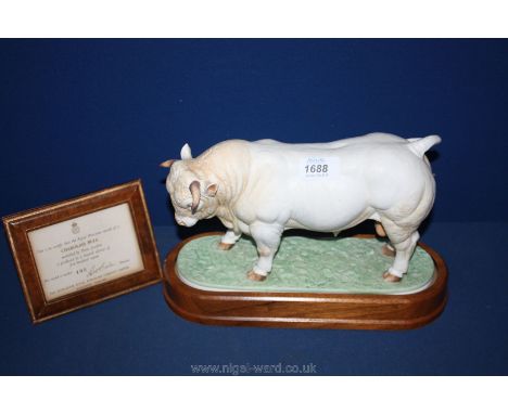A Royal Worcester model of a Charolais Bull modelled by Doris Linder, limited edition no 195/500, 11" long 8" tall (including