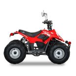 DAYMAK GRUNT (CS-E7015) KIDS ELECTRIC ATV (800W) (48V 12H SLA) (IN BOX) (RED) (MRSP $1,995)