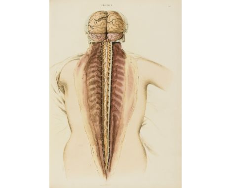 Lizars (John) A System of Anatomical Plates of the Human Body, engraved title and 101 plates, most hand-coloured, some colour