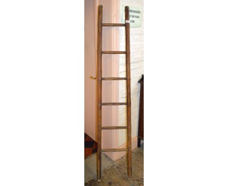 A 19th Century library ladder