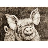 Nicolette Savage  Etching "Pigwig", signed in pencil lower right and numbered 45/150, 10cm x 13cm  P