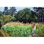 June Berry (b.1924) Watercolour "August Maize", signed lower right, circa 1985, The Ogle Gallery
