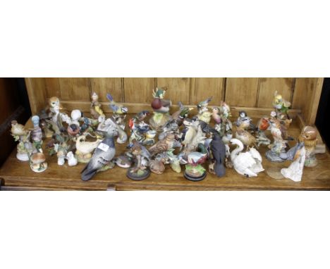 A COLLECTION OF PORCELAIN BIRDS to include a Beswick pigeon, A Goebel parakeet etc