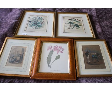 An assortment of five gilt framed pictures including Toss it for a bob, hand coloured floral pictures, full coloured print et