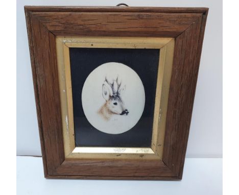 Victorian miniature oval watercolour portrait of a Stags head, initialled D.L, in fine wood frame, The miniature measures app