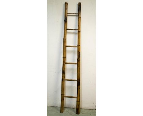 LADDER, 210cm H x 37cm, vintage bamboo. 