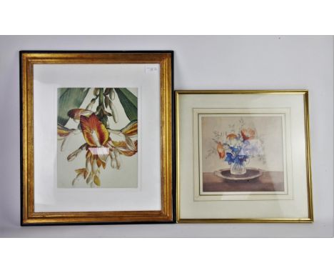 Four botanical prints in gilt frames, three in walnut frames, another print and a watercolour (9)