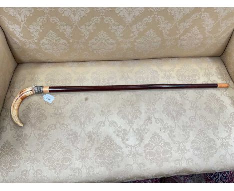 Victorian gentleman’s walking cane, with Rosewood shaft and Wild Boar’s tusk handle, white metal collar with Queen Victoria 1