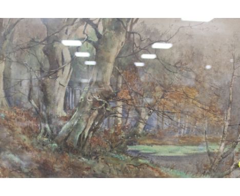 St Mary's Abbey - A FRAMED AND GLAZED WATERCOLOUR OF A WOODED LANDSCAPE SIGNED F K GREGORY LOWER LEFT - SIZE 53 CM BY 33 CM