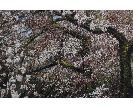 Alison Holt (British). Textile Art. Embroidery framed and glazed. A highly detailed and well worked blossoming tree. H.23 W.2