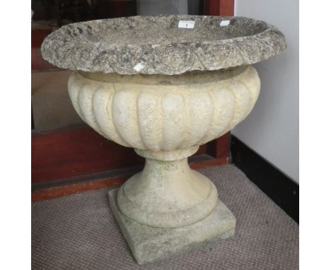 A pair of Victorian style reconstituted garden urns on pedestals, 18.5" high