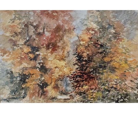 A framed and glazed watercolour, trees in autumn, signed and dated Richard R Harris. H.73 W.96cm. 