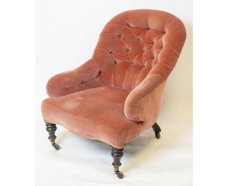 ARMCHAIR, 85cm H x 70cm W, Victorian in pink velvet on ceramic castors. 