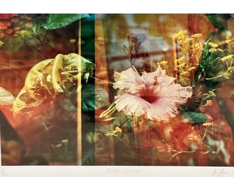 Kiva Shea, Lotis Blossom, digital print of flowers and leaves inspired by Botanist Carl Linnaeus, 1/3, aluminium mounted glaz