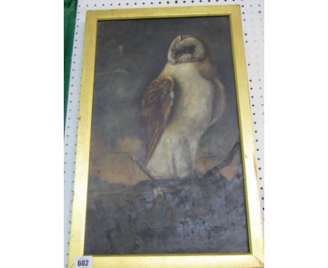 ENGLISH SCHOOL, oil on canvas "Portrait Study of Owl on branch", 19.5" x 11.5" 