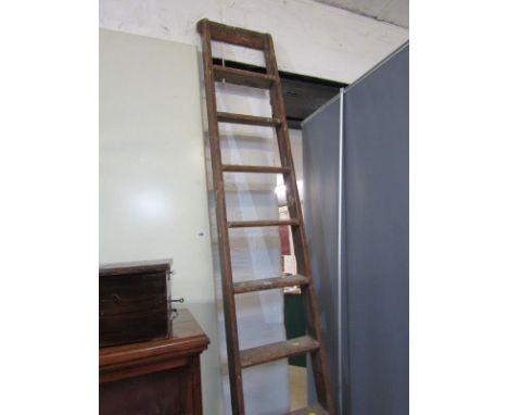 LIBRARY, bookcase ladder 