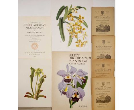 Curtis's Botanical Magazine. pts 1-4. R.H.S. London 1951 plus Walcot (M.V.) Illustrations of North American Pitcherplants. Sm