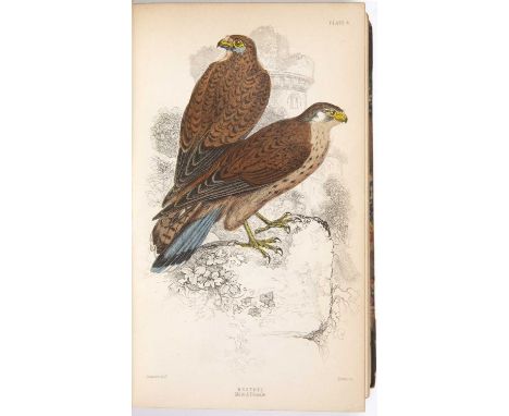 Jardine (Sir William) (Ed). The Naturalist’s Library Ornithology. 10 vols. Lizars Edinburgh with portrait frontispiece. n/d b