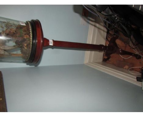 A mahogany tripod plant stand,