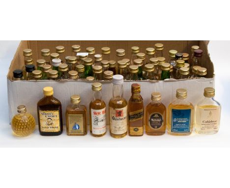 A large collection of whisky miniatures, including Ben Nevis Mist, Ainslie's Royal, Gken Saunders,m Auld Scottie, Carlton, To