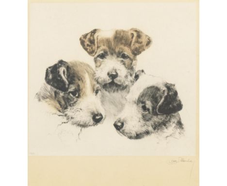                     MEYER-EBERHARDT,             Kurt(1895 - 1977)    Drei TerrierFarbradierung. Bleistiftsignatur. 23,5 x 26