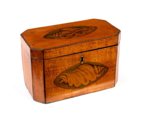 A George III satinwood tea caddy, inlaid a shell patera to the cover and front, 19cm wide